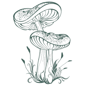 Mushroom